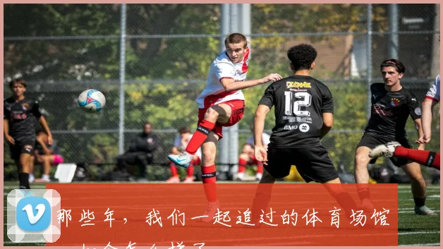 那些年，我们一起追过的体育场馆，如今怎么样了